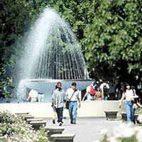 CSU Fresno image 2